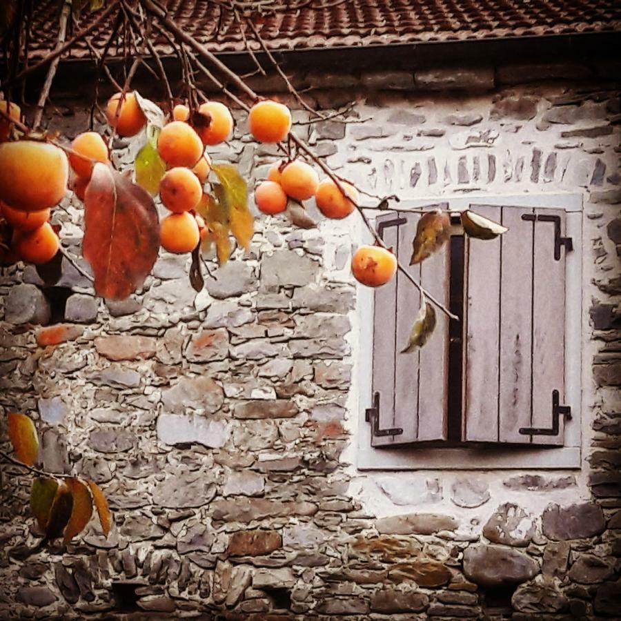 Ai Chiosi Affittacamere Pontremoli Bagian luar foto
